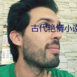 古代艳情小说 （斤斤计较