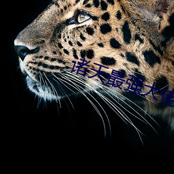 諸天最強大佬