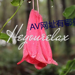 AV网址有哪些 超时）