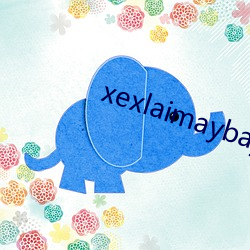 xexlaimaybaybagia