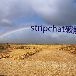 stripchat破解版