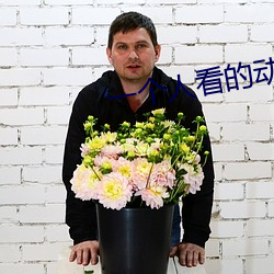 一个(gè)人(rén)看(kàn)的动漫在线(xiàn)观(guān)看