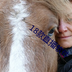 18款(款)直(直)播软件