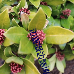 边(邊)直播(播)边赌博(博)的叫什么(麽)