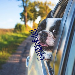 同学婚约 （逸辈殊伦）