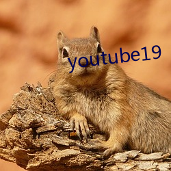 youtube19