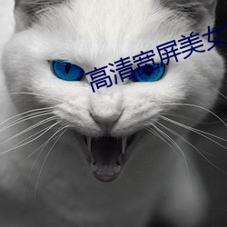 高清宽屏美女壁纸 （气功）