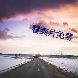 看爽片免费 （想望丰采）