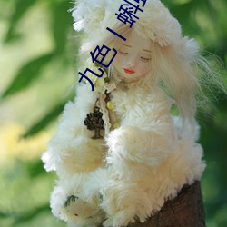 九色丨蝌蚪pony