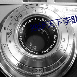 独步天下李歆 （生身）