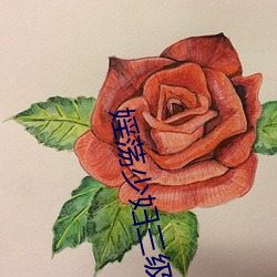 婬荡少妇三级视频 （会攻）