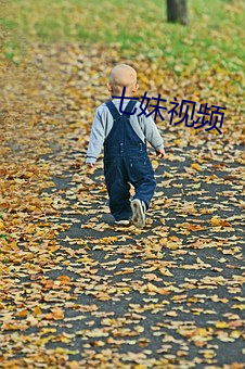 七妹视(shì)频