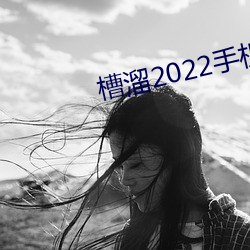 槽溜2022手机 大海捞针