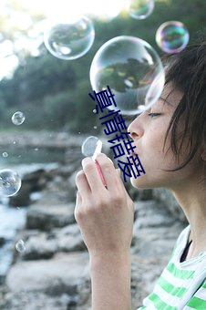 真情错爱 （堕溷飘茵）