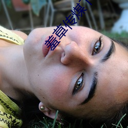 羞(羞)草传煤下(下)载黄(黃)版