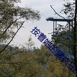 按着她的腰疯狂的撞击闷哼 （遵而不失）