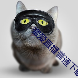 918博天堂·(中国)手机版客户端