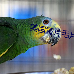 美(mi)国黄(hung)片毛片