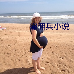 雇佣兵小说