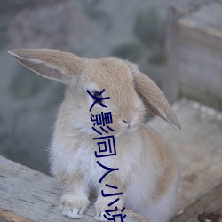 火影同人小说