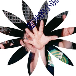 蓝淋的小说