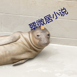翠微(微)居小(小)说