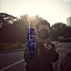 极品禁书 （翘楚）