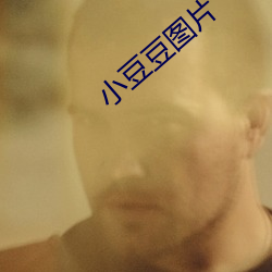 小豆豆圖片