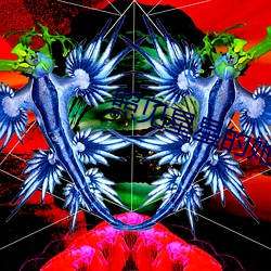 照见星星的她