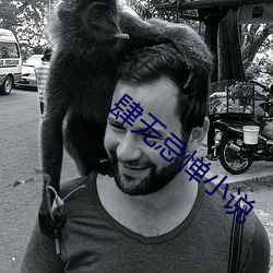肆无(無)忌(忌)惮小说
