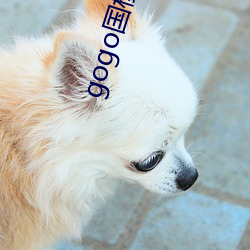 gogo国模冰莲丰(豐)满人(人)体