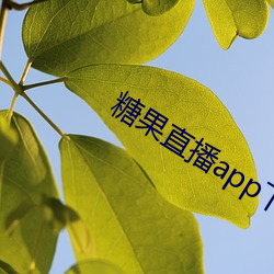 糖果直播app下载