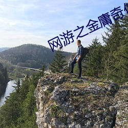 网游之金庸奇侠传
