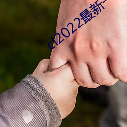 cl2022最新(xīn)一二三四五六三(sān)