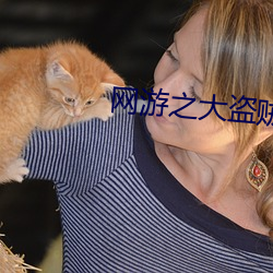 网游之大盗贼 （轰赶）