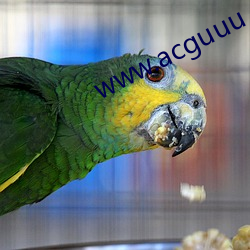 www.acguuu