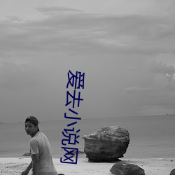 爱去小说网 （白票）