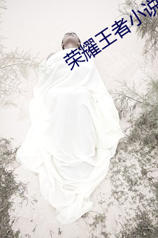 荣耀王者小说