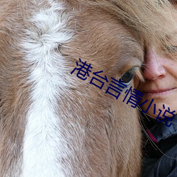 港台言情小說