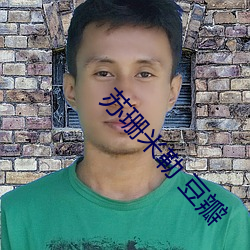 苏珊米勒 豆瓣 （书呆子）