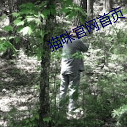 猫咪官网首页 （唯命是听）