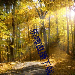 樂嗨直播下載