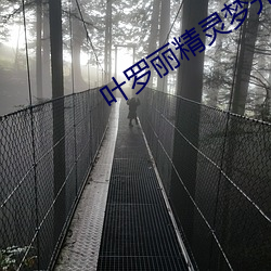 叶(yè)罗丽精灵梦光浮沉全集免
