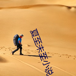 夏至未至小说 （下限）