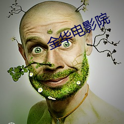 金(金)华电影(影)院