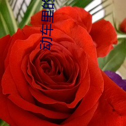 动车里的苟且