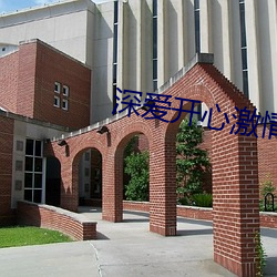 深爱开心激情(qíng)
