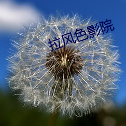 拉风色影院
