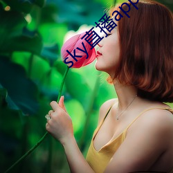 sky直播app入口