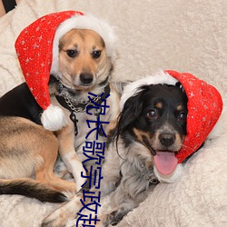 沈长歌宗政越(越)小说免费阅(閱)读